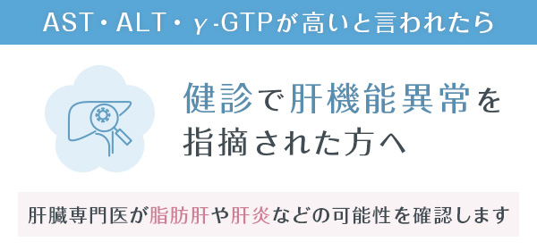 健診で肝機能異常を指摘された方へ　肝臓専門医が脂肪肝や肝炎などの可能性を確認します